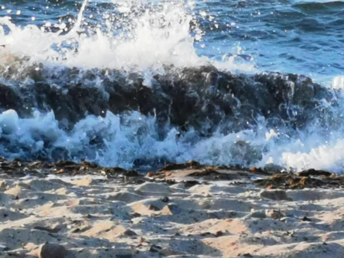 Ostseebad Kühlungsborn Suite Beach 5 Rooms 2 Bathrooms 1 Kitchen 1 Piano מראה חיצוני תמונה