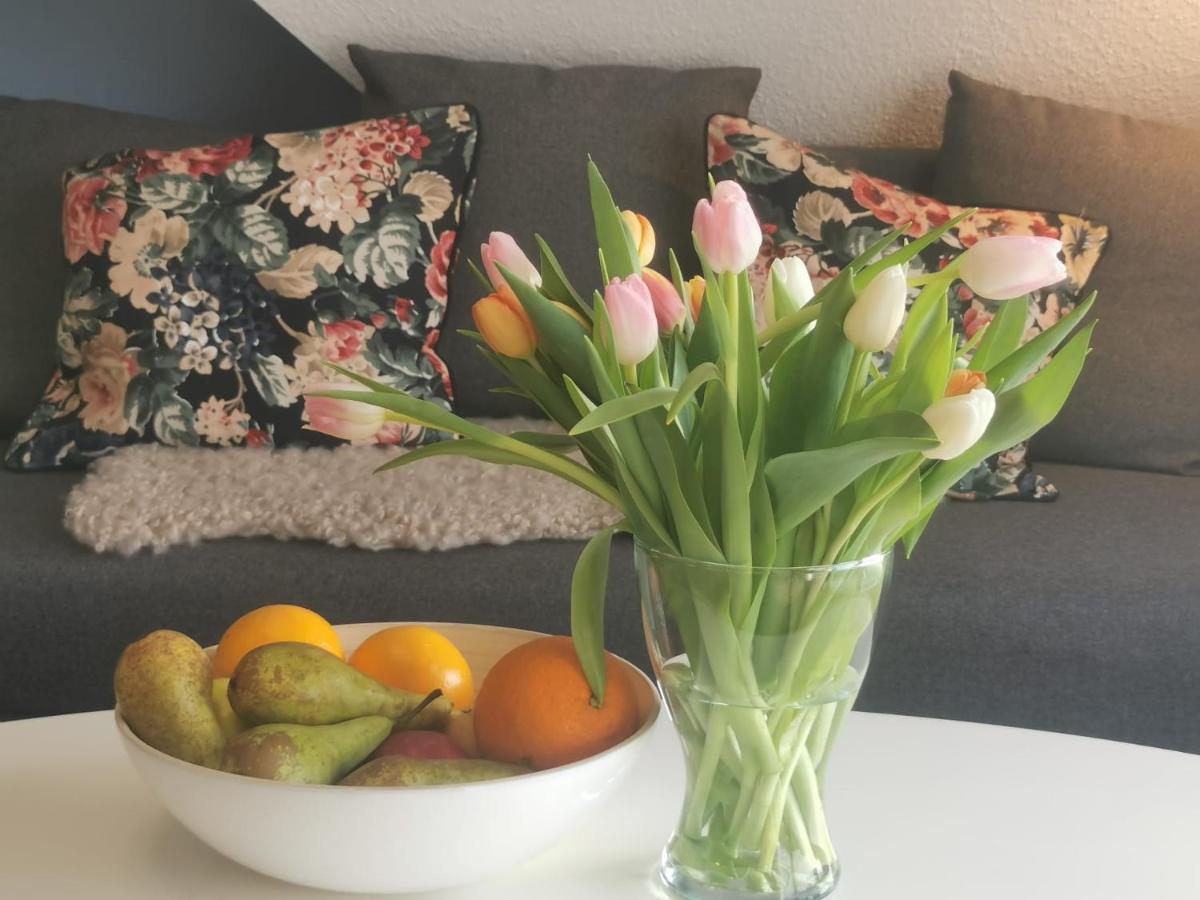 Ostseebad Kühlungsborn Suite Beach 5 Rooms 2 Bathrooms 1 Kitchen 1 Piano מראה חיצוני תמונה